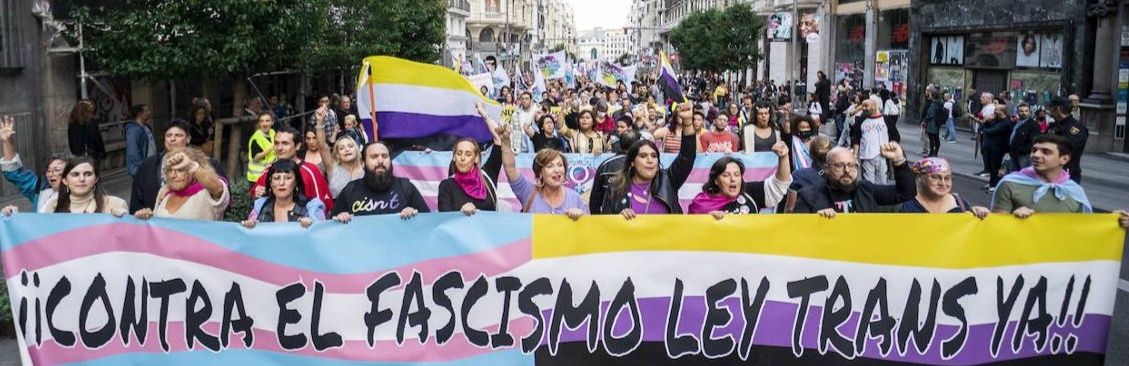 Plataforma Trans 🏳️‍⚧️ Hay Ley Trans's banner