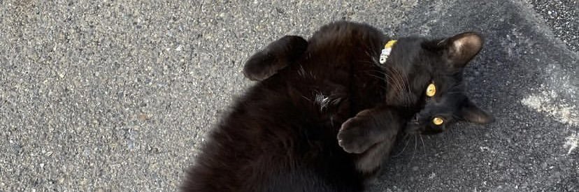 ty____Zzz's profile banner image