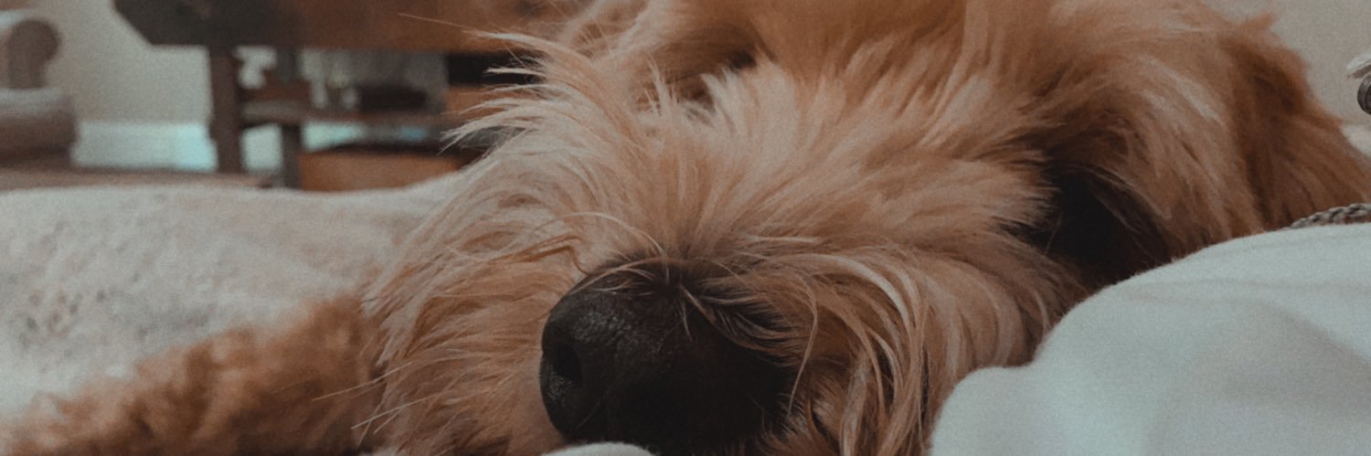 Alexfuscoooo's profile banner image