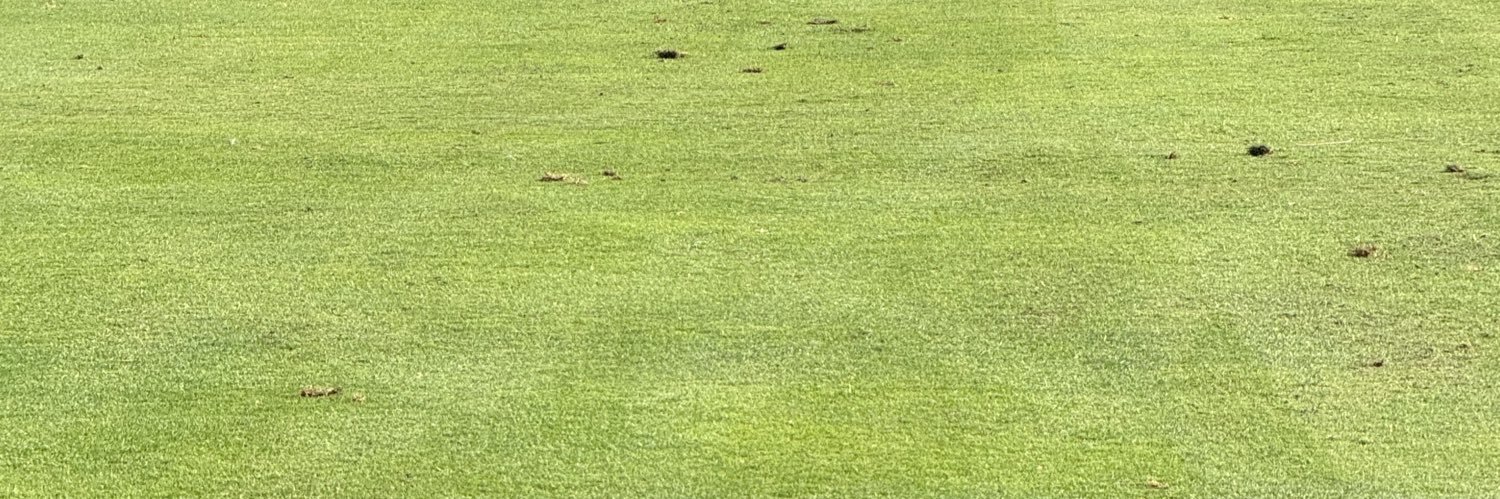 EricEHoffman's profile banner image