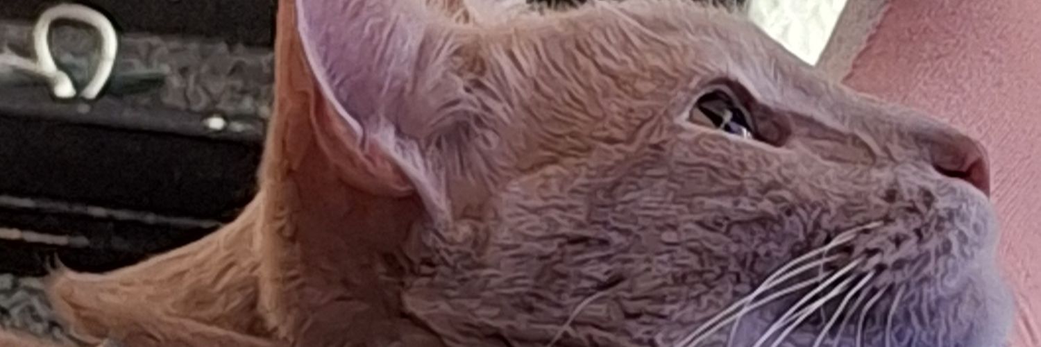 _ahbn's profile banner image