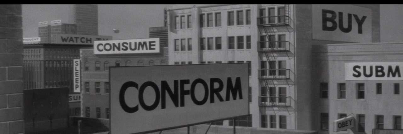 Craig Plazure banner