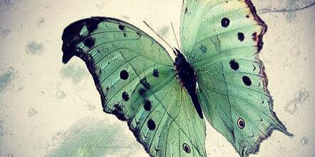 JulissaGomezR's profile banner image