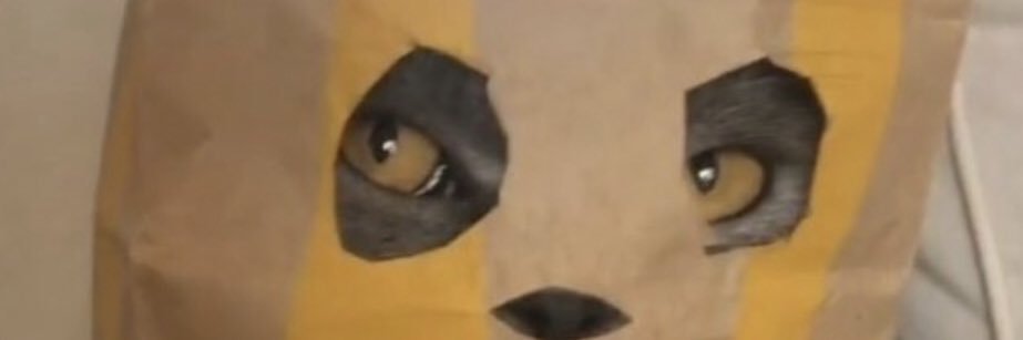 joni223s's profile banner image