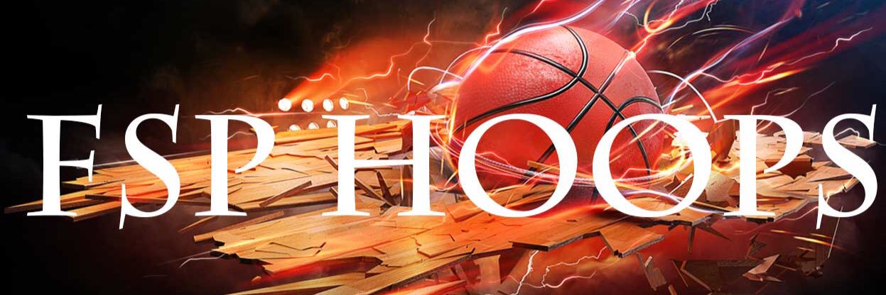 FSP Hoops banner