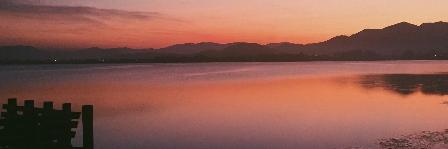isadorapiazza's profile banner image