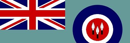 Social Commentator banner