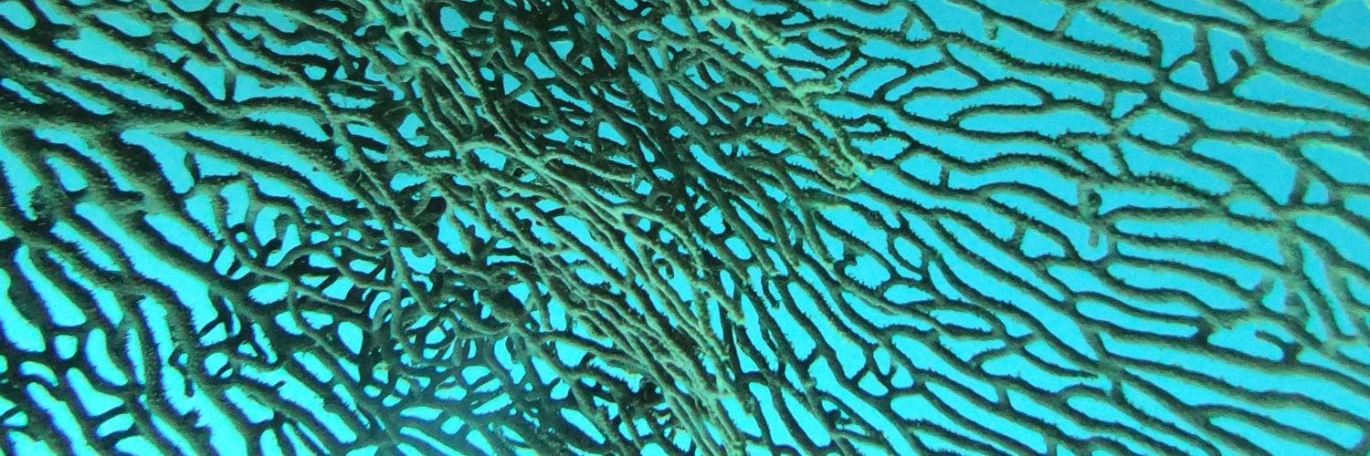 MathildeTzrd's profile banner image