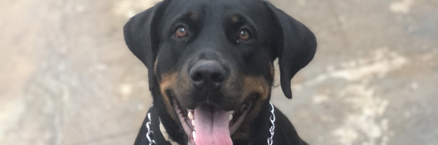 DethOta's profile banner image