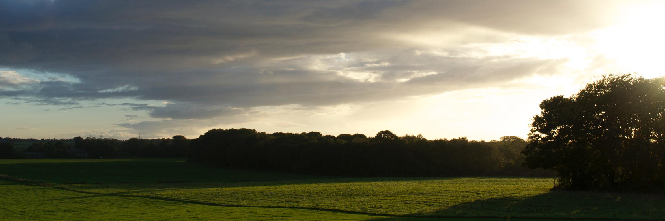 sofiwalbaum2's profile banner image