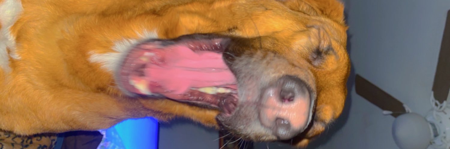 TylerGooding5's profile banner image