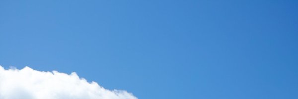 momdo_ Profile Banner