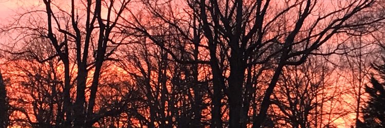 Cathy ❤️🌼 banner