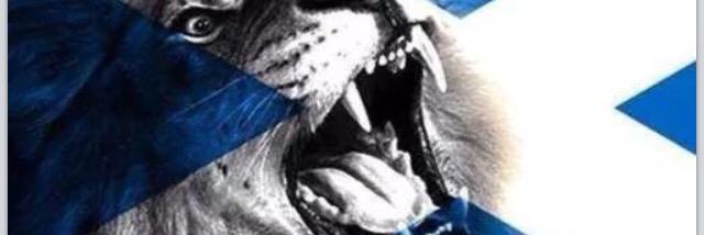 MaxPecten's profile banner image