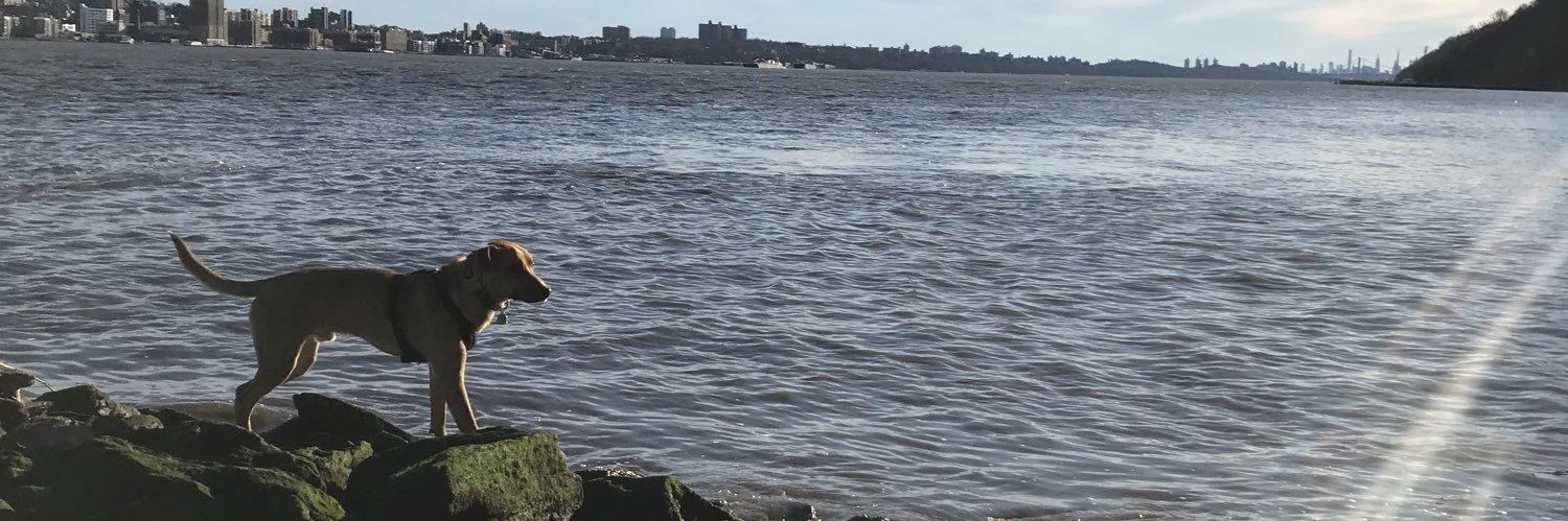 Ekaterina Likhtik banner