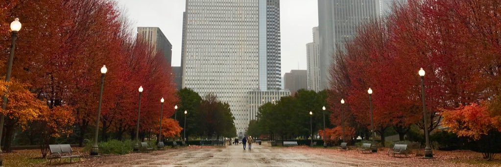 MeredithBagby's profile banner image