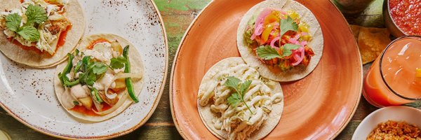 PaintedBurro Profile Banner