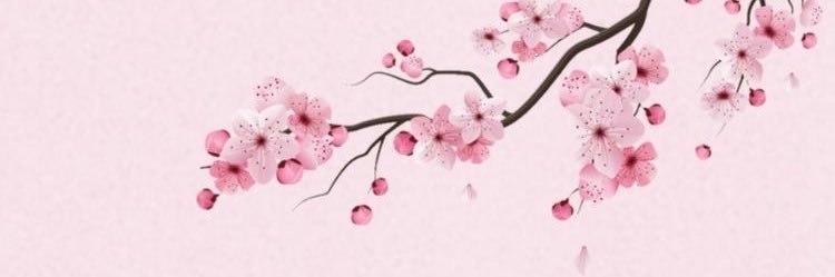lami_ona's profile banner image