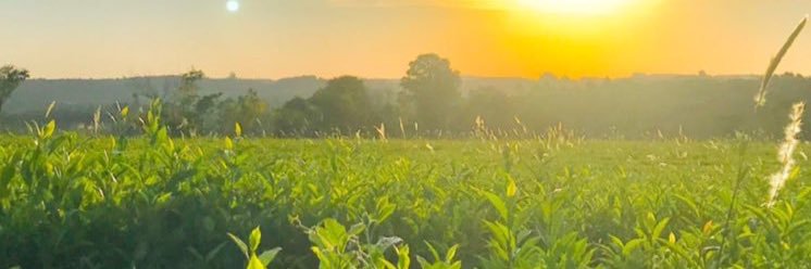 Ainara Lewtak banner