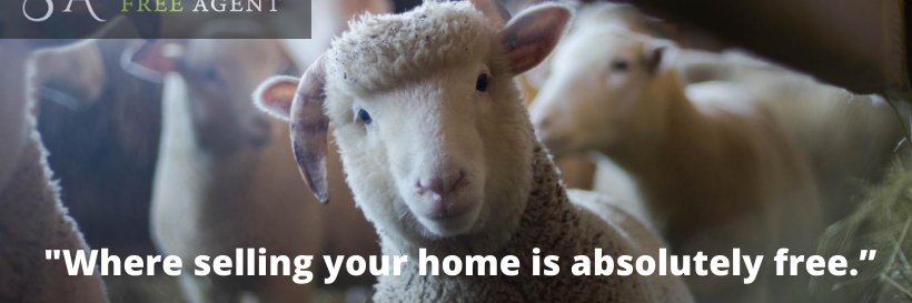 Shropshire Free Agent - Bridgnorth banner