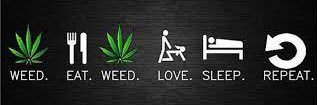 PotHead Nation banner