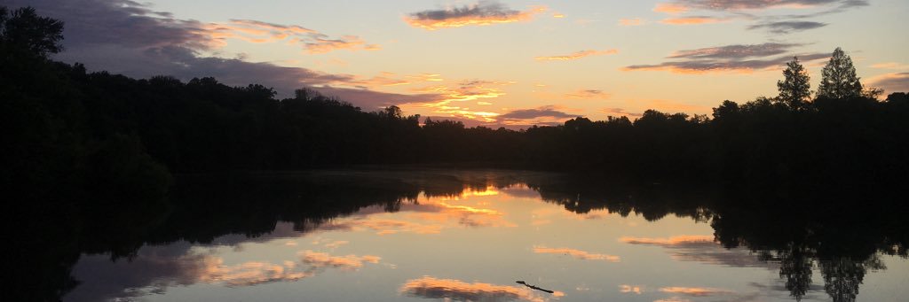 Ruth_Hochberg's profile banner image
