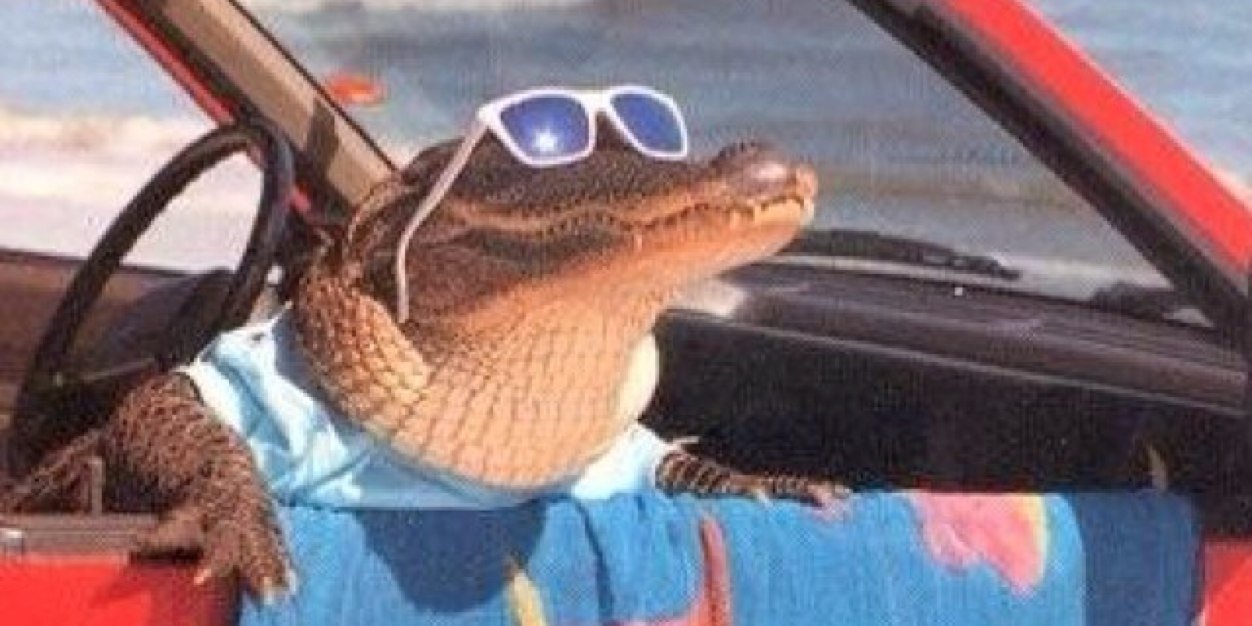 Le_Cordon_Bro's profile banner image