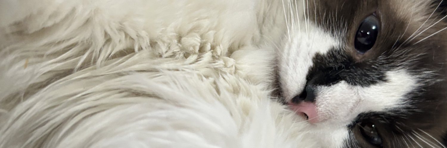 andy_hg's profile banner image