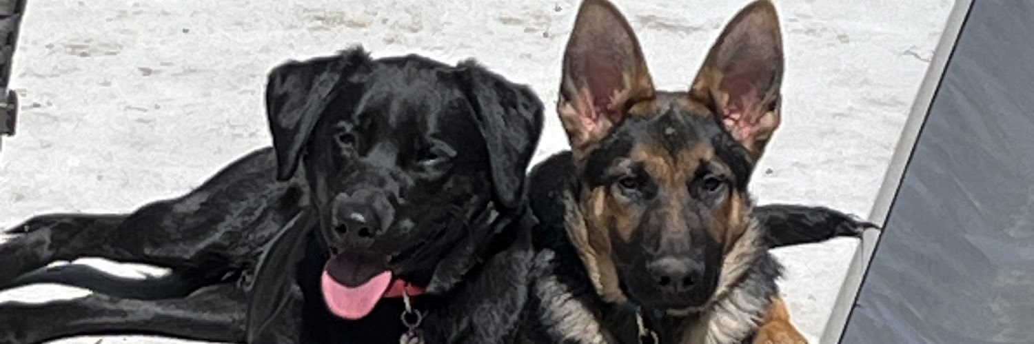 roxyteo's profile banner image