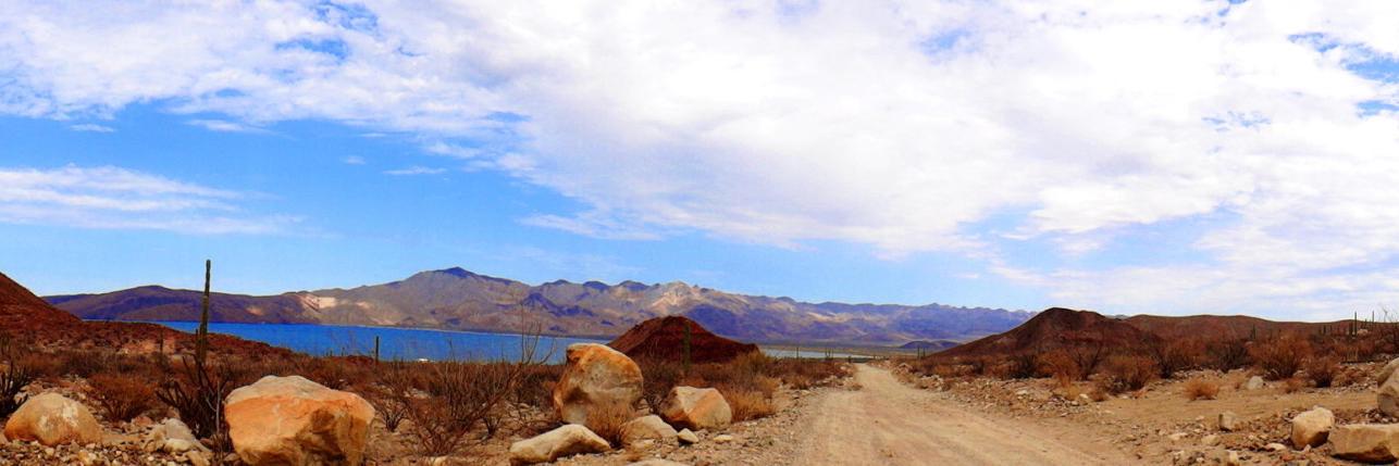 María EarlyCapistrán banner