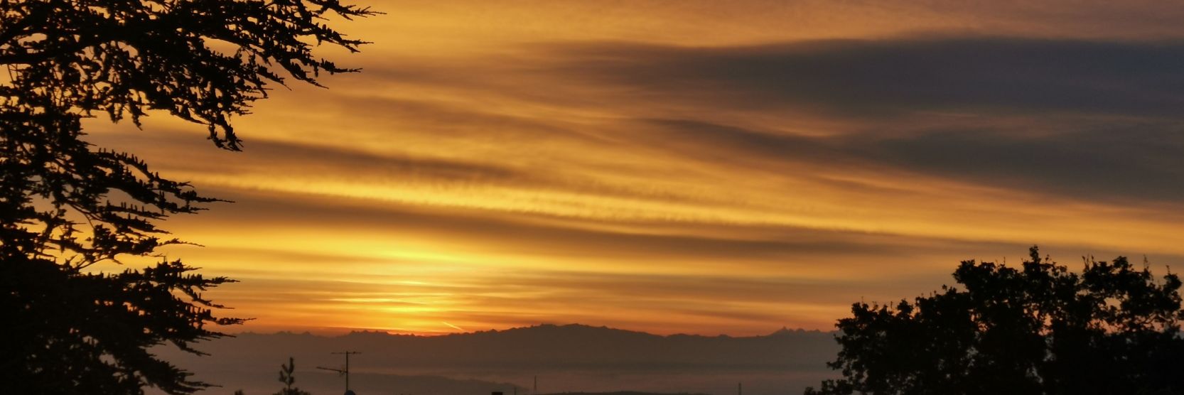 DavidAlcaide's profile banner image