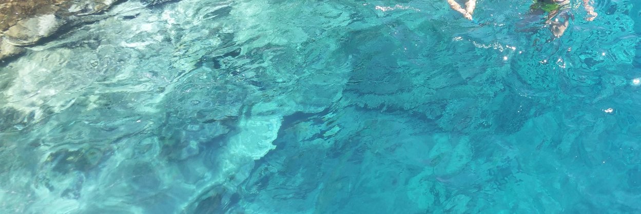 Frédéric Ferret banner