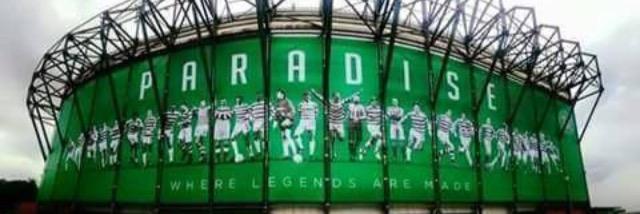 PaddyWard banner