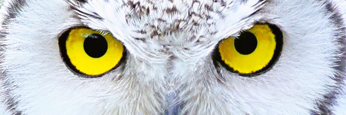 jrar1's profile banner image