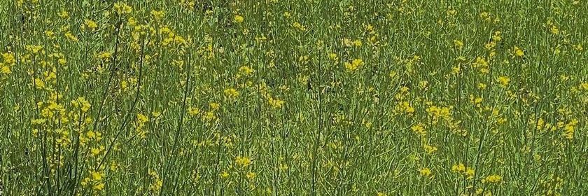 ta_zz_'s profile banner image