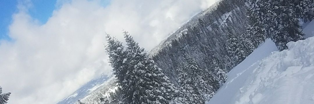 MEnumber23's profile banner image