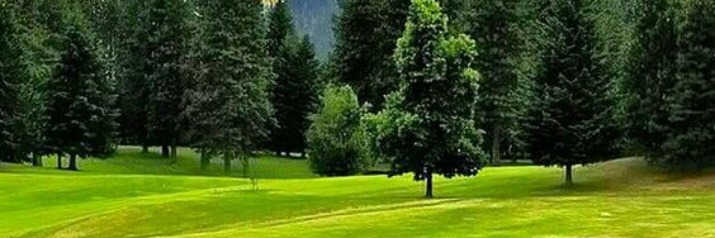 CsOpondo's profile banner image
