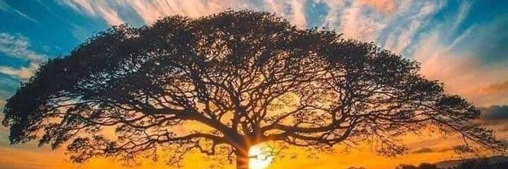 Aaindraaa's profile banner image
