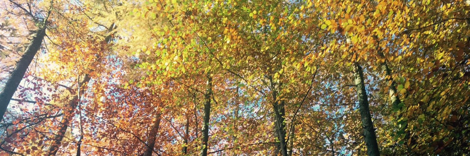 BrealyAmanda's profile banner image
