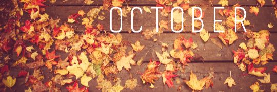 October310's profile banner image