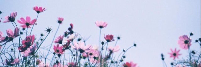 HeatherwhiteM's profile banner image