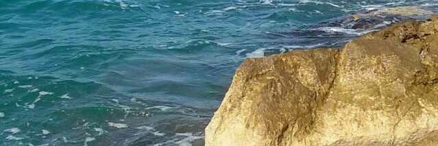 mimariban's profile banner image