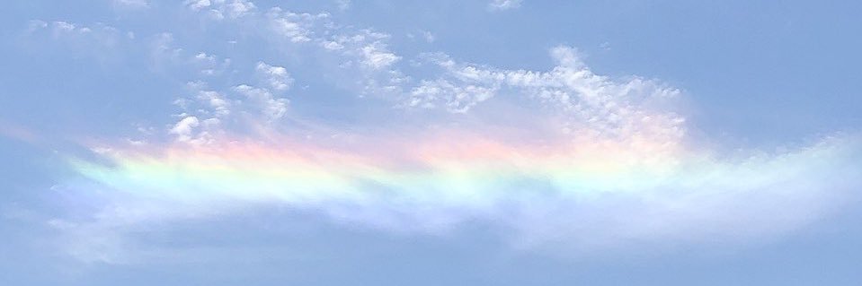 bubblegumpolar's profile banner image