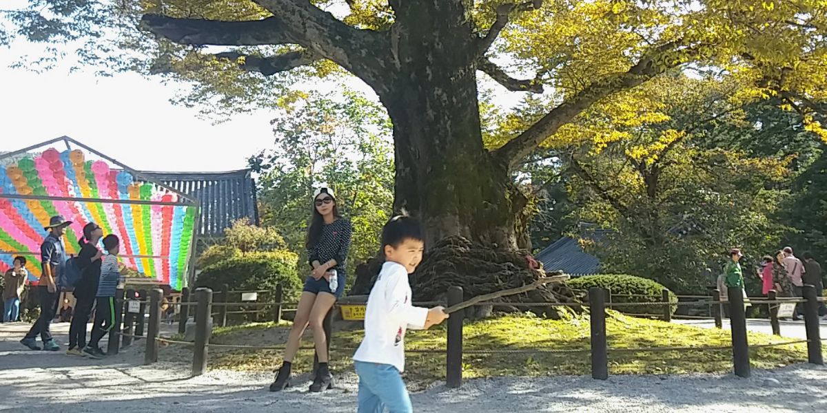 hye_mi91's profile banner image