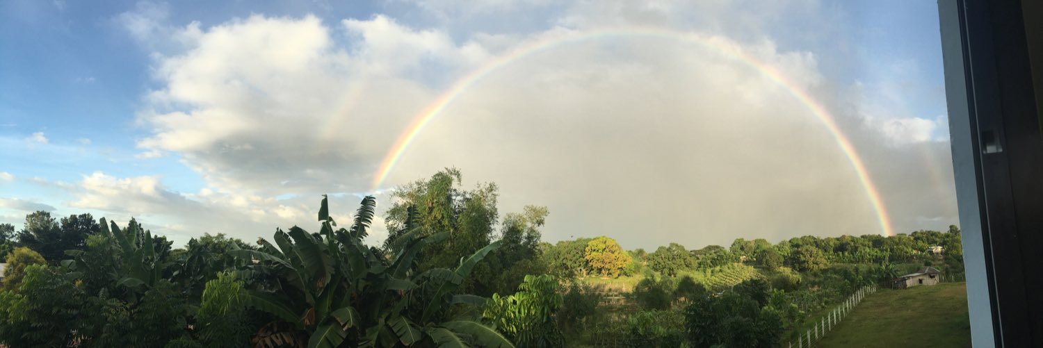 cupodin16's profile banner image