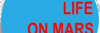 fiammuzza's profile banner image