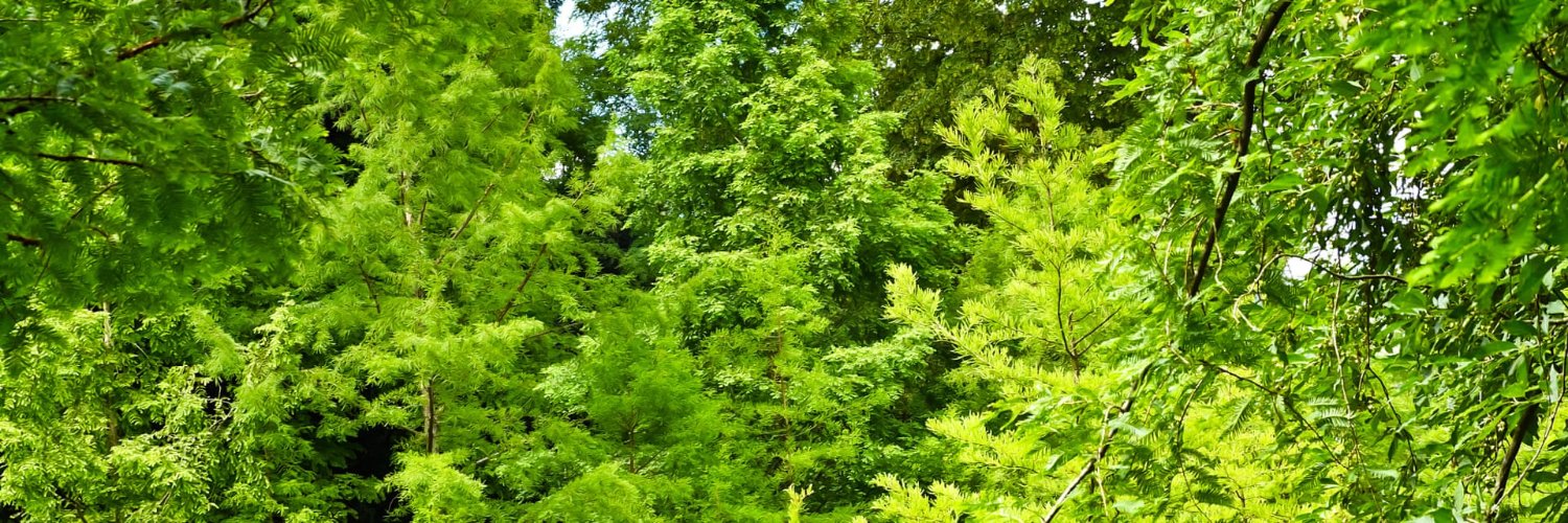 elmcroft's profile banner image