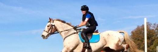 MfEventing's profile banner image