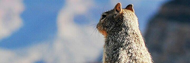 Fer__Cooper's profile banner image