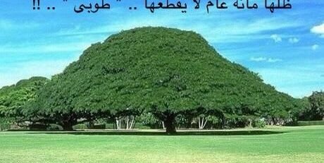 abuamar60's profile banner image